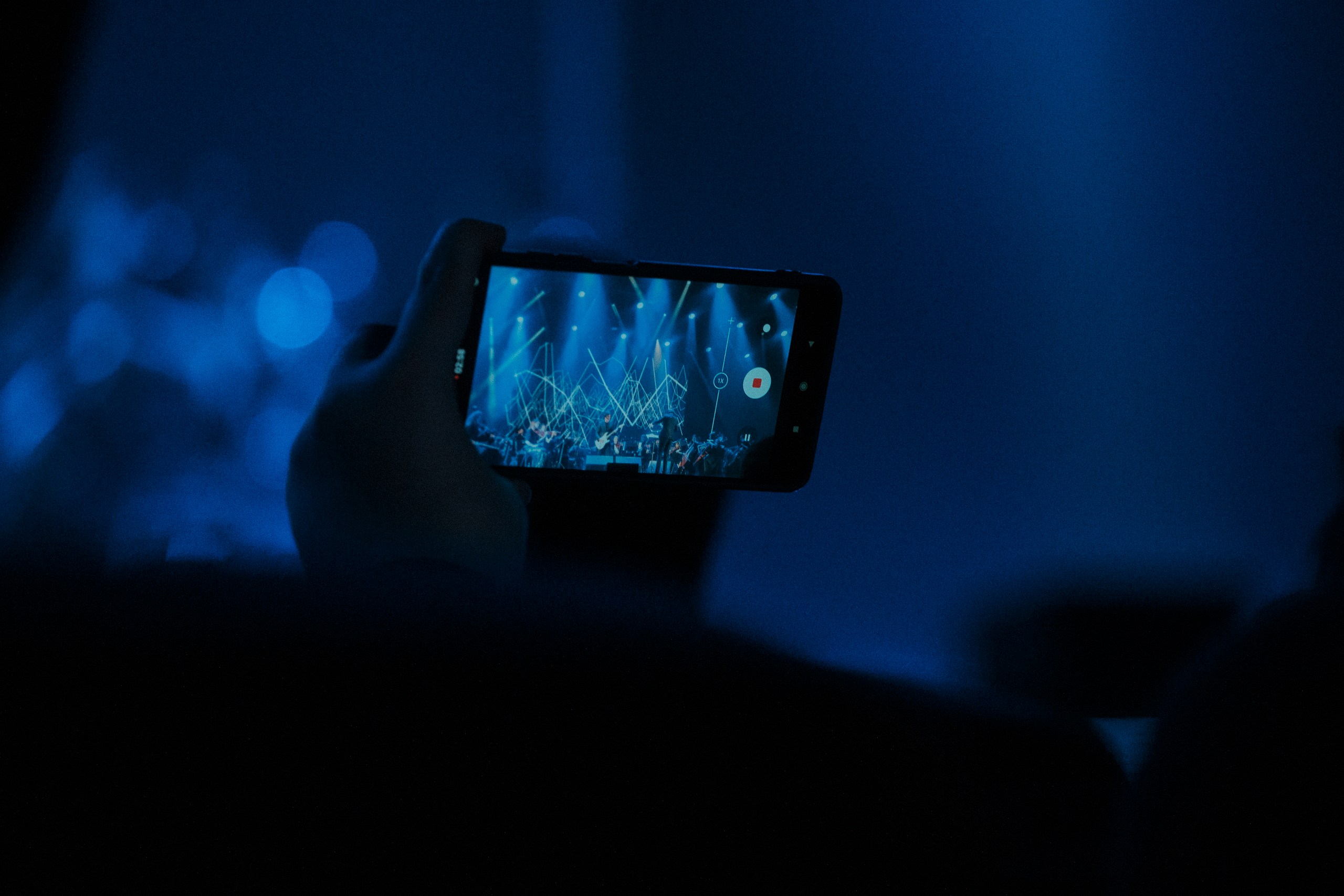 фото с концерта