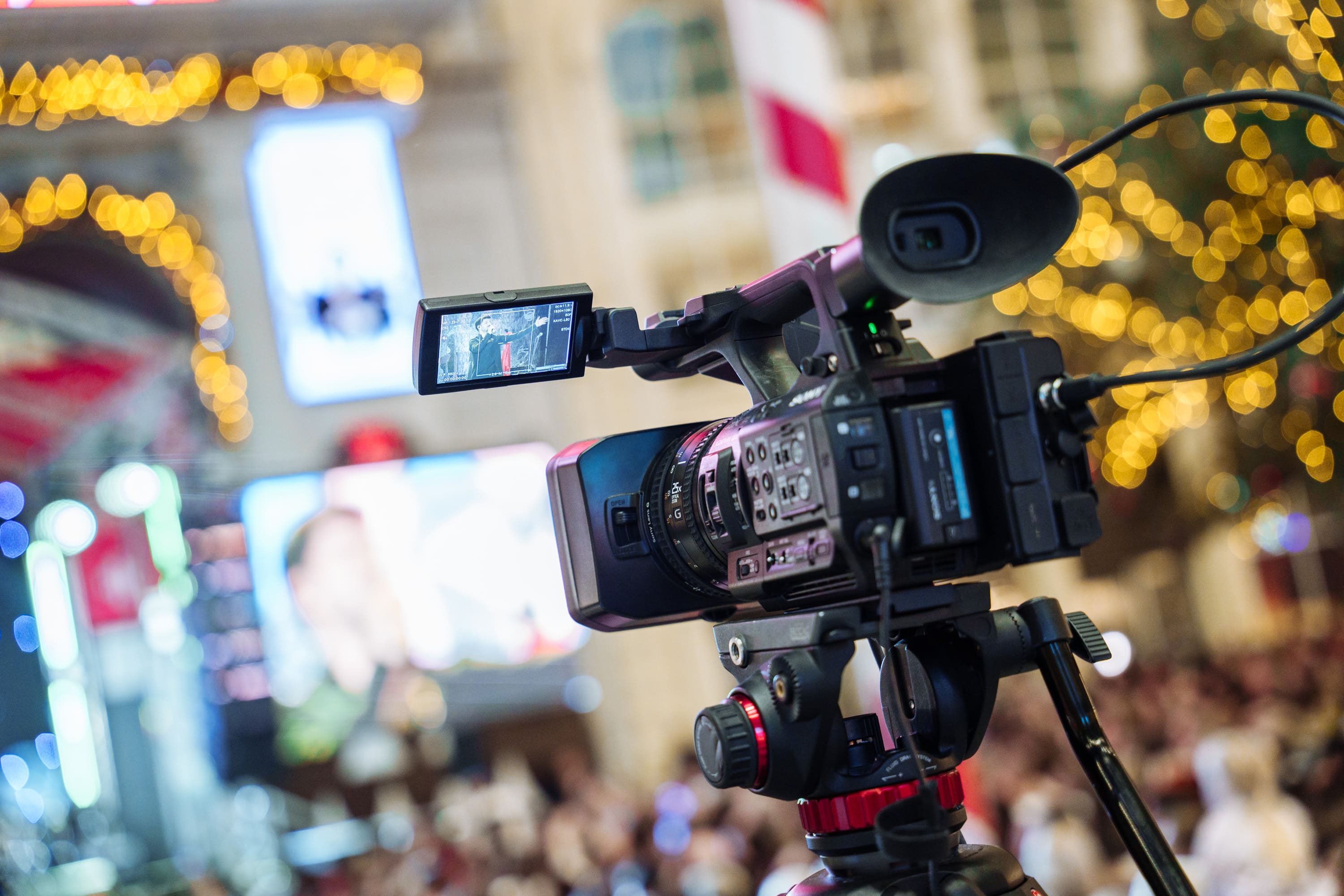 фото с концерта